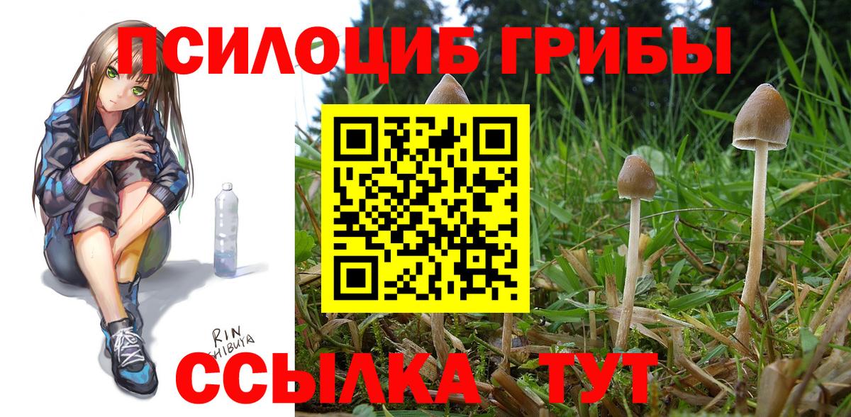 Галлюциногенные грибы мухоморы Санкт-Петербург