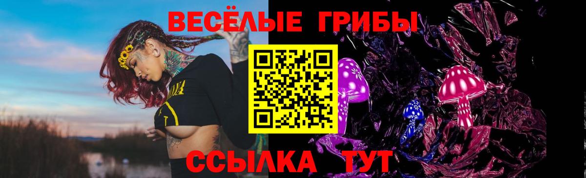 Псилоцибиновые грибы Psilocybine cubensis  Псилоцибиновые грибы Psilocybine cubensis  Санкт-Петербург  Вход с VPN 